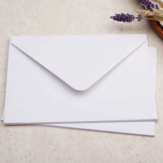 C6-Botanical-Decorated-Envelope_1